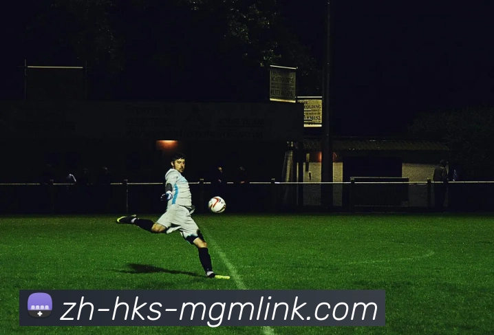 mgm集团官网APP 封面图